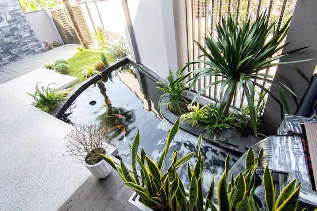 Xay nha tren dat meo van dep khong goc chet-Hinh-4