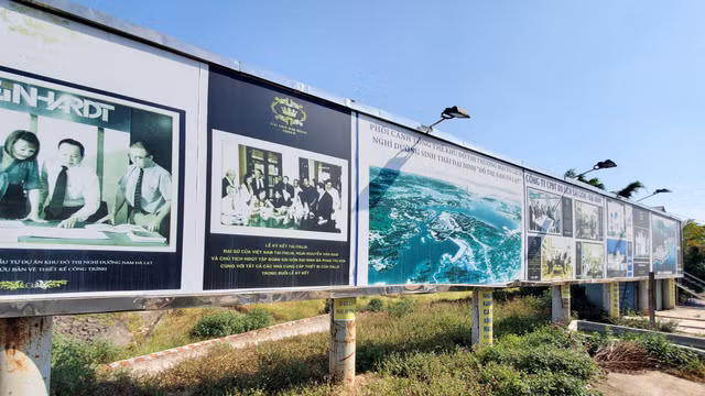 Khi dai du an Dai Ninh tro thanh... dai an-Hinh-5