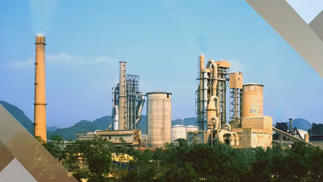 Lai ban nien 2021 cua VICEM dat hon 1.250 ty dong