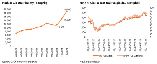VDSC du phong lai rong quy 4 cua DPM tang truong 15 lan