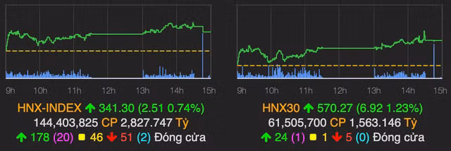 Co phieu nganh duoc phu sac tim, VN-Index tang gan 15 diem-Hinh-2