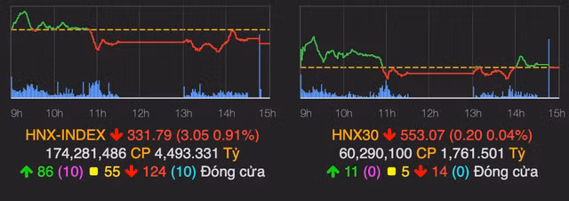VN-Index giang co, nhieu co phieu chung khoan nam san-Hinh-2