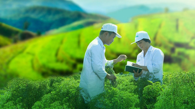 Traphaco đặt kế hoạch lãi tăng 10%, duy trì cổ tức 30% Traphaco dat ke hoach lai tang 10%, duy tri co tuc 30%