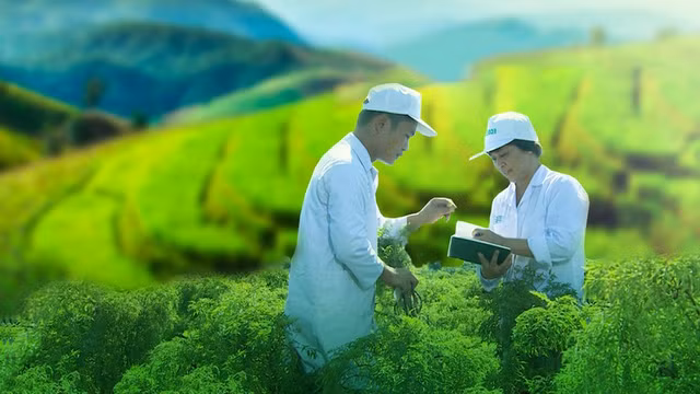 Traphaco dat ke hoach lai tang 10%, duy tri co tuc 30%