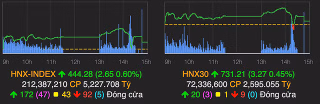 Nhom bat dong san lai bi chot loi manh mot cach nhanh chong-Hinh-2