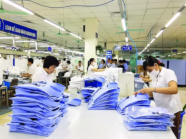 Vinatex lai quy 3 tang truong gap 2,8 lan nho linh vuc soi