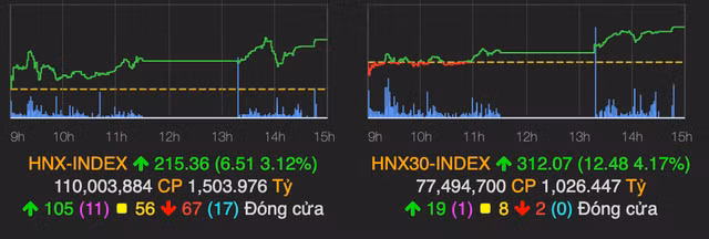 VN30 dong loat xanh va tim tran giup VN-Index bat tang 40 diem phien 2/2-Hinh-2