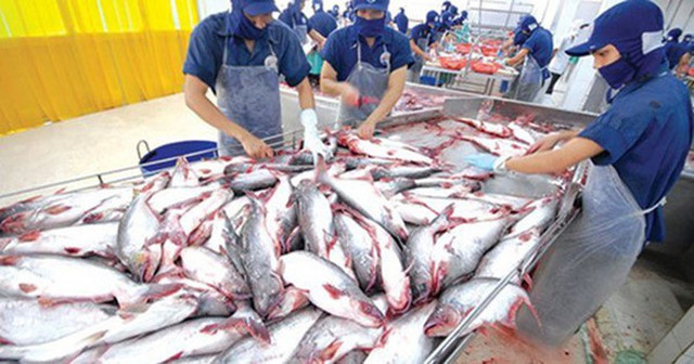 Nam Việt thua lỗ 13 tỷ đồng trong quý 3 Nam Viet thua lo 13 ty dong trong quy 3
