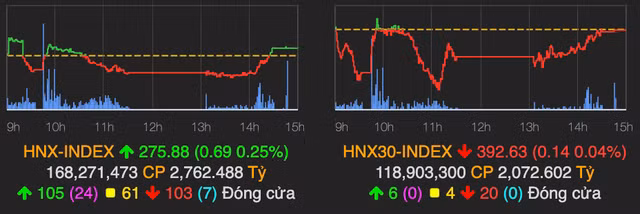 Nguoc chieu chi so san HNX va UPCoM, VN-Index mat gan 5 diem-Hinh-2