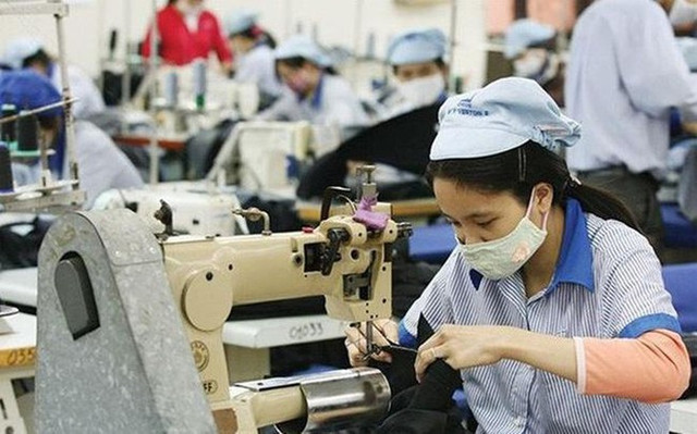TCM đặt kế hoạch lãi ròng tăng 5% lên 290 tỷ đồng năm 2021 TCM dat ke hoach lai rong tang 5% len 290 ty dong nam 2021