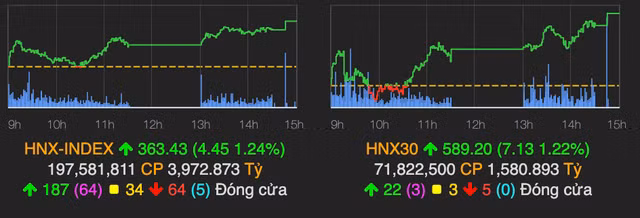 VN-Index lay lai 10 diem mat hom qua, nhom penny dong loat day song-Hinh-2