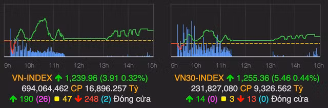 Dau khi tro xanh ve cuoi phien, VN-Index tang nhe gan 4 diem