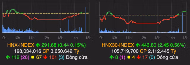 Dau khi tro xanh ve cuoi phien, VN-Index tang nhe gan 4 diem-Hinh-2