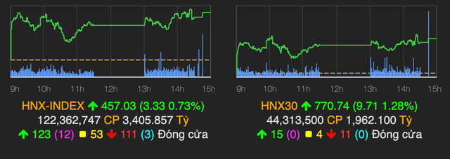 VN-Index giữ sắc xanh nhờ các cổ phiếu vốn hoá nhỏ - Hình 2 VN-Index giu sac xanh nho cac co phieu von hoa nho-Hinh-2