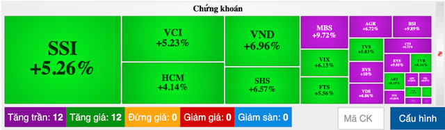 Co phieu chung khoan 'bung noc', 12/24 ma tim lim