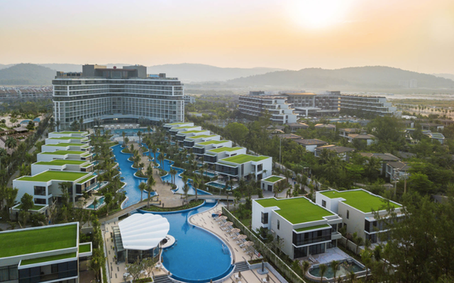 CEO Group lỗ hơn 100 tỷ đồng cả năm 2020 CEO Group lo hon 100 ty dong ca nam 2020