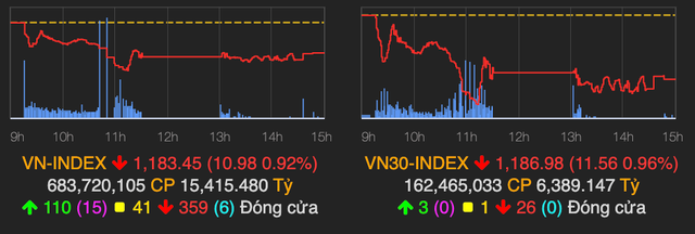 VN-Index bay 10 diem, nhom FLC van toa sang trong phien