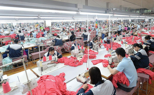 MSH báo lãi quý 1 tăng 44%, sắp chia cổ tức tiền mặt tỷ lệ 30% MSH bao lai quy 1 tang 44%, sap chia co tuc tien mat ty le 30%