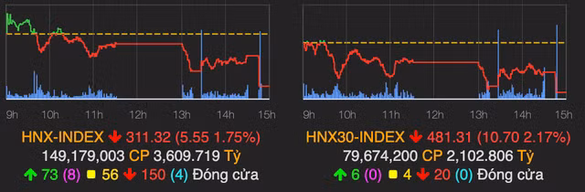 Co phieu nhom phan bon va thuy san ruc sang giua thi truong do lua-Hinh-2