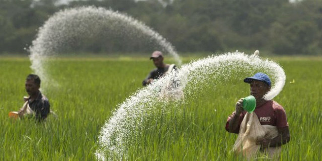 Them mot cong ty phan bon dat ke hoach di lui nam 2021