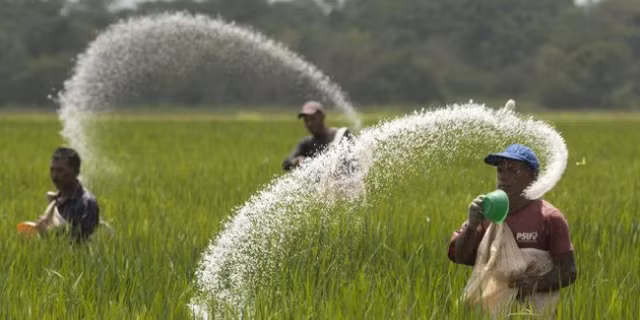 Them mot cong ty phan bon dat ke hoach di lui nam 2021