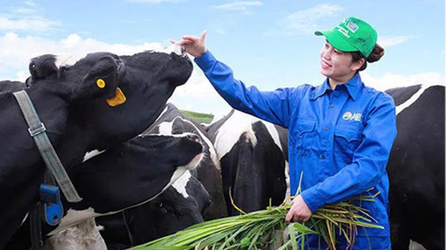 Vilico chốt phương án sáp nhập GTNfoods, vốn điều lệ giảm về 1.723 tỷ đồng Vilico chot phuong an sap nhap GTNfoods, von dieu le giam ve 1.723 ty dong