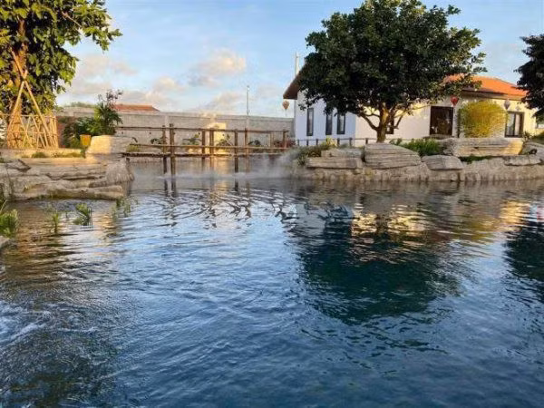 Truong Giang so huu nhung biet thu hoanh trang co nao?-Hinh-5