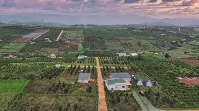 Giảm 70% tiền chuyển mục đích đất vườn sang đất ở tuy hỗ trợ kịp thời nhưng chi phí vẫn còn cao.