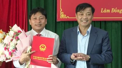 Lâm Đồng: Ông Phạm Vũ Lâm làm Phó Giám đốc Ban Quản lý dự án ĐTXD số 3 