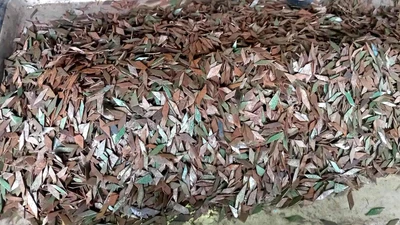 Phức tạp nạn đinh tặc trên tuyến Quốc lộ 1K ở TP HCM