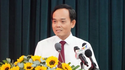 Bí thư Thành ủy Trần Lưu Quang: TP HCM sẽ không tiếp tục sáp nhập phường, xã