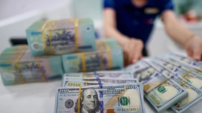 Đòi ghi giá bán thấp để né thuế, bên bán thua kiện phải trả 3,2 tỷ tiền cọc