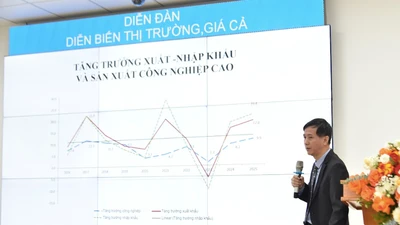 Tiền đang chảy vào đâu? 