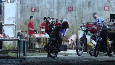 Có hay không việc 'thả nổi' kiểm dịch 90% thịt lợn ở Quảng Trị?