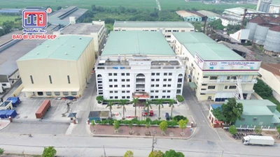 Thuận Đức đối mặt nhiều khoản phạt vì vi phạm về thuế