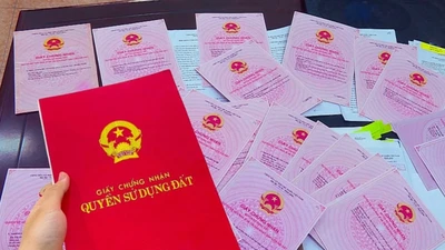 TP HCM vận động người dân phối hợp làm sạch dữ liệu đất đai
