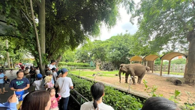 Bất ngờ doanh thu của vườn thú từng bị 'sờ gáy' vì nợ thuế