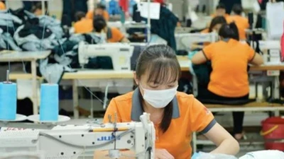 Lo vướng thủ tục kế toán cho doanh nghiệp siêu nhỏ