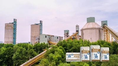 VICEM Hà Tiên bị xử phạt và truy thu thuế hơn 2,6 tỷ đồng