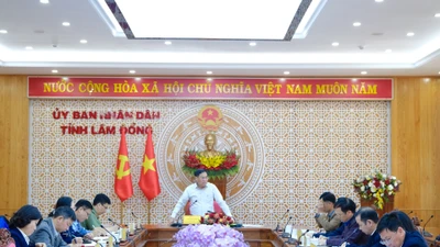 Lâm Đồng tập trung đẩy nhanh Tổng điều tra kinh tế năm 2026