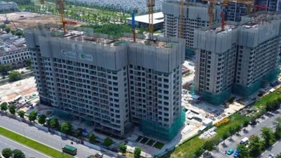 Năm 2025, một năm đáng nhớ của thị trường bất động sản Việt Nam