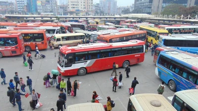 Doanh nghiệp vận tải rục rịch tăng giá 