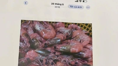 Vụ dân tố 'thực phẩm bẩn' tuồn vào trường học: Tiếp tục đình chỉ công tác hiệu trưởng