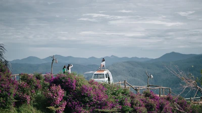 Trong 4 ngày nghỉ Tết Dương lịch 2026, Lâm Đồng ước đón khoảng 650.000 lượt khách.