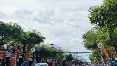 Con đường có lá me bay…