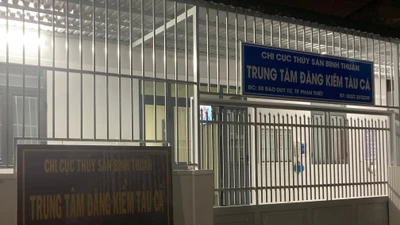 Bắt tạm giam giám đốc Trung tâm đăng kiểm tàu cá Lâm Đồng