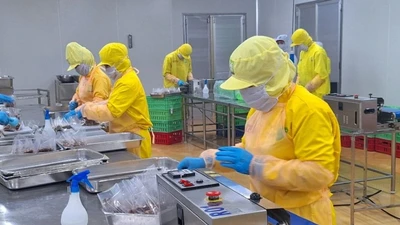 Doanh nghiệp tư nhân cần hỗ trợ thực chất, không phải trên giấy tờ