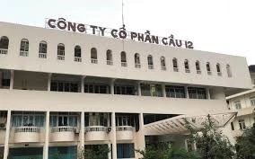 CTCP Cầu 12 bị UBCKNN “tuýt còi ” do vi phạm công bố thông tin