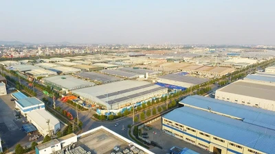 'Đại bàng' nào đầu tư vào Việt Nam lớn nhất hiện nay? 