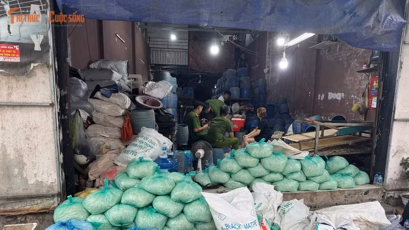 Phát hiện vụ sản xuất giá đỗ chứa hóa chất cấm quy mô lớn tại TP HCM